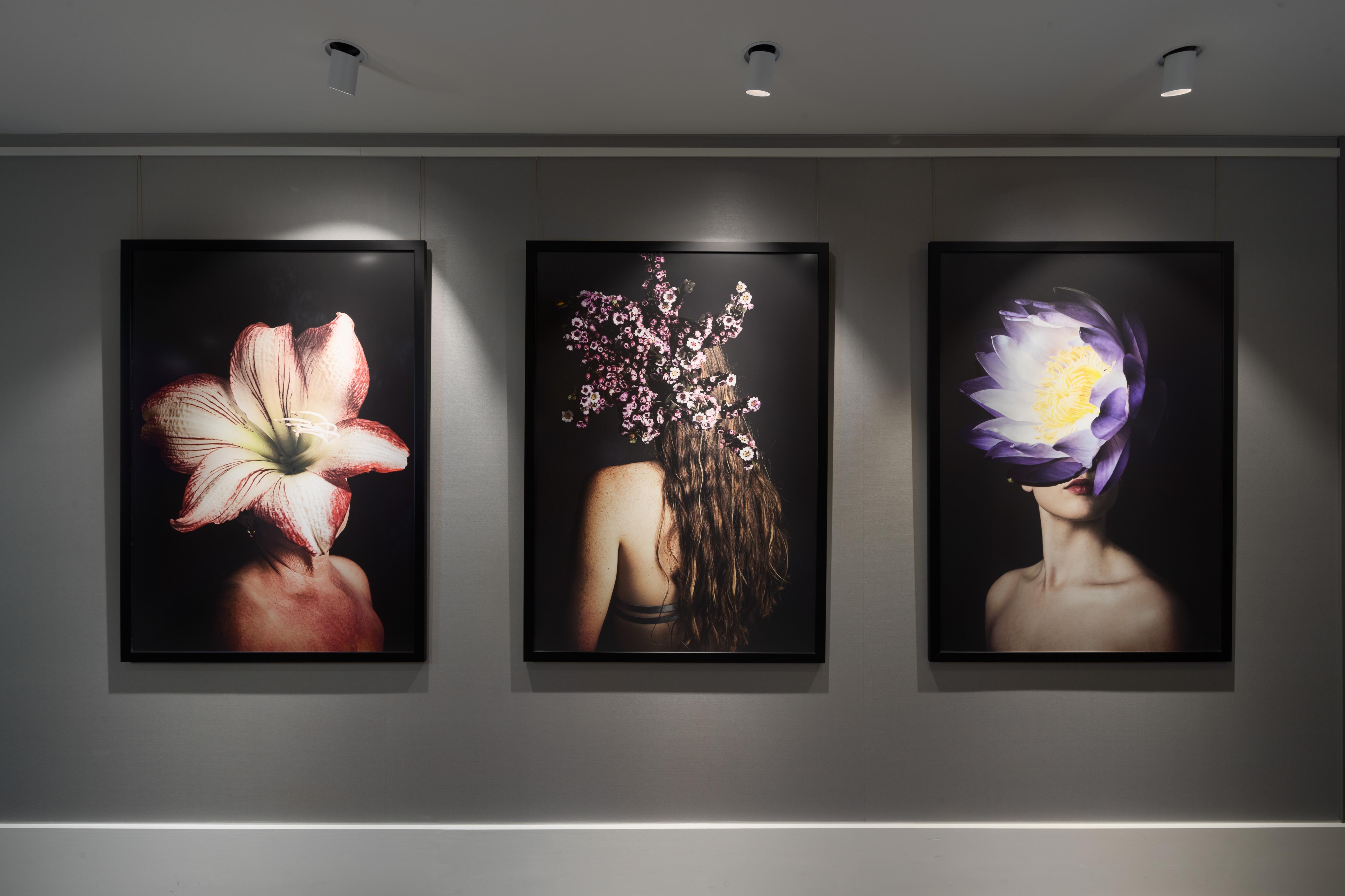 Crystalbrook Bailey Hotel Cairns Bagian luar foto The Flower Series